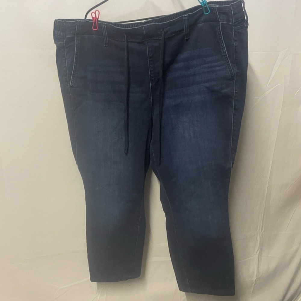 Torrid Jean Joggers